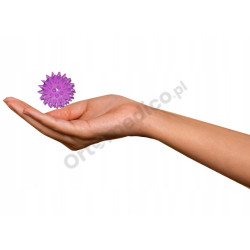 Piłeczka Do Masażu i Ćwiczeń Fioletowa HALCAMP 5 cm