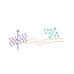 ACFXL115 Worek Stomijny Jednoczęściowa Zamknięty 15-70 mm Aurega 1 Closed Extra Duży Beżowy Cortmed
