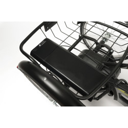 FREEDOM-E Elektryczny Rower Rehabilitacyjny Trójkołowy dla Młodzieży i Dorosłych Vermeiren