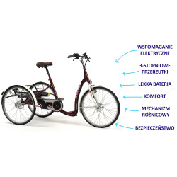 Elektryczny Trójkołowy Rower Rehabilitacyjny dla Dorosłych Lagoone-E Vermeiren