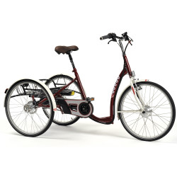 Elektryczny Trójkołowy Rower Rehabilitacyjny dla Dorosłych Lagoone-E Vermeiren