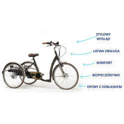 VINTAGE-E: Elektryczny Rower Rehabilitacyjny Trójkołowy Vermeiren dla dorosłych w Stylu Retro
